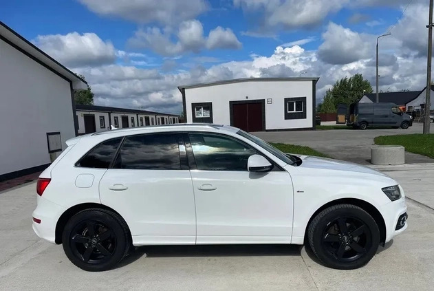 Audi Q5 cena 56500 przebieg: 267000, rok produkcji 2009 z Grójec małe 667